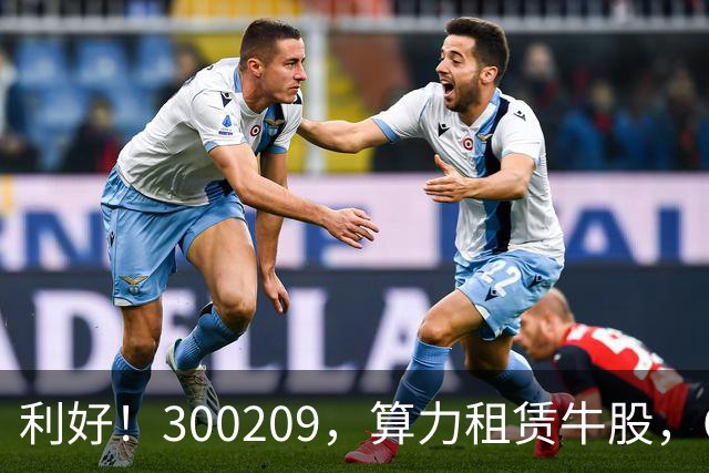 利好！300209，算力租赁牛股，Q3营收大增55倍